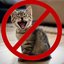 Cat Repellent