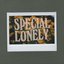 The Special Lonely Sound of Cars in Rain