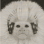 Avatar di lMiloTparT