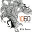 Wild Geese