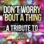 Don't Worry 'Bout a Thing: A Tribute to SheDaisy
