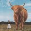 Grab The Bull