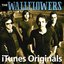 iTunes Originals: The Wallflowers