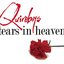 Tears In Heaven - Single