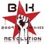 Revolution (2009 Remixes)