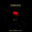 C.H.R.I.S.Y.E.