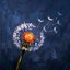 Dandelion - Single