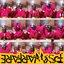 Dedicated to the Haitian Priest