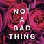 Not a Bad Thing - Single