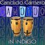 Candido In Indigo