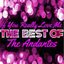 If You Really Love Me - The Best of the Andantes