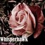 Wild Rose - Single