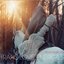 Your Loft My Acid - EP