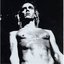 Iggy Pop Tribute - We Will Fall