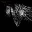 Antikythera