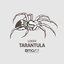 Tarantula