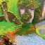 Rainforest - EP