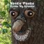Honkie Ponkie Stroke My Stronkie - Single