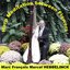 Harp Meditation Between Flowers