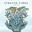 Strange stone (Prism Part 1)