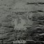 Plague - Single