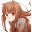 Spice and Wolf