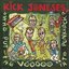 Who Put The Voodoo Into Punkrock?