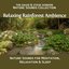 Relaxing Rainforest Ambience: Nature Sounds for Meditation, Relaxation and Sleep