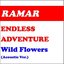 Endless Adventure
