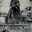 The Ancient Bearded