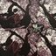 CONIBEAR - Single