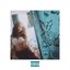 Hard out Here - Single