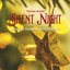 Silent Night (Christmas Carols on Acoustic Guitar)