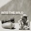 Into The Wild Score