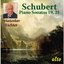 Sviatoslav Richter plays Schubert Sonatas 19 & 21