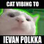 Cat Vibing To Ievan Polkka Swing