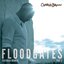 Floodgates (Part 2) [feat. Misha B] - Single