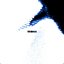 Shut You Out - Single