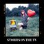 Stories On the TV - Single