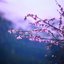 A Moment Unfolding