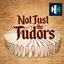 Not Just the Tudors