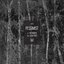 The Woods / Leadfoot