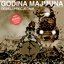 Godina majmuna / Majmun godine