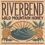 Wild Mountain Honey