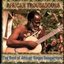 African Troubadours: Best Of African Singer-Songwriters