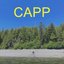 Capp