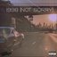 1998 (Not Sorry) - Single