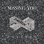 Missing You - Single