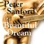 "Beautiful Dream"