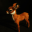 deerfox için avatar